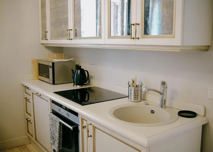 In Gaono アパート ヴィリニュス